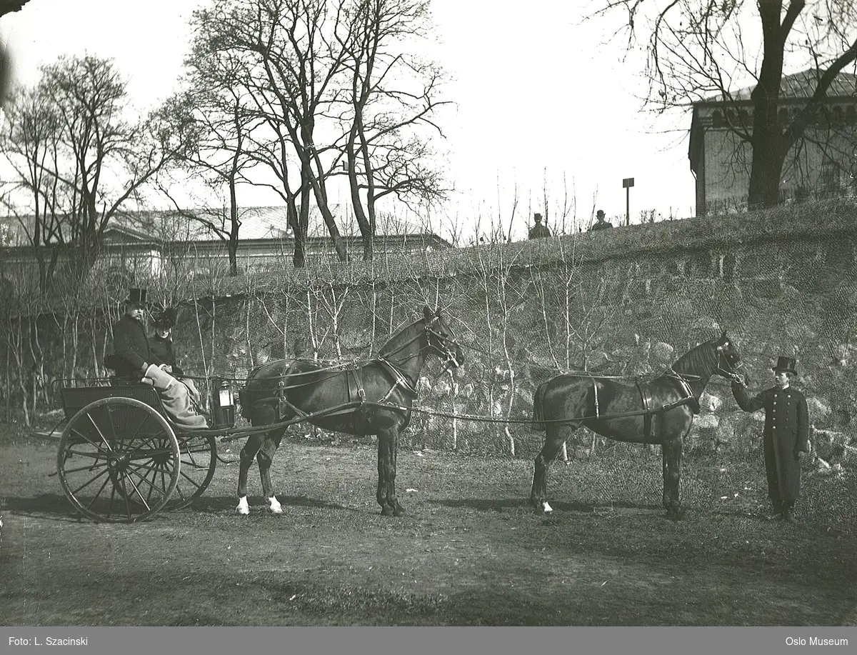 hester, tohjuls dogcart, kvinne, mann, ektepar, plasskommandant