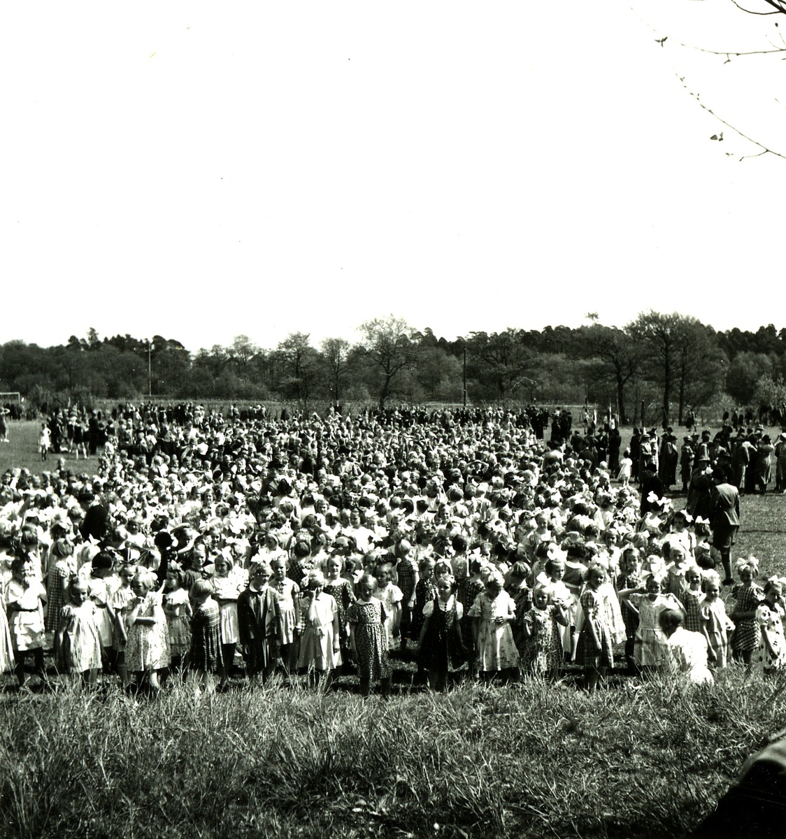 Örjans vall