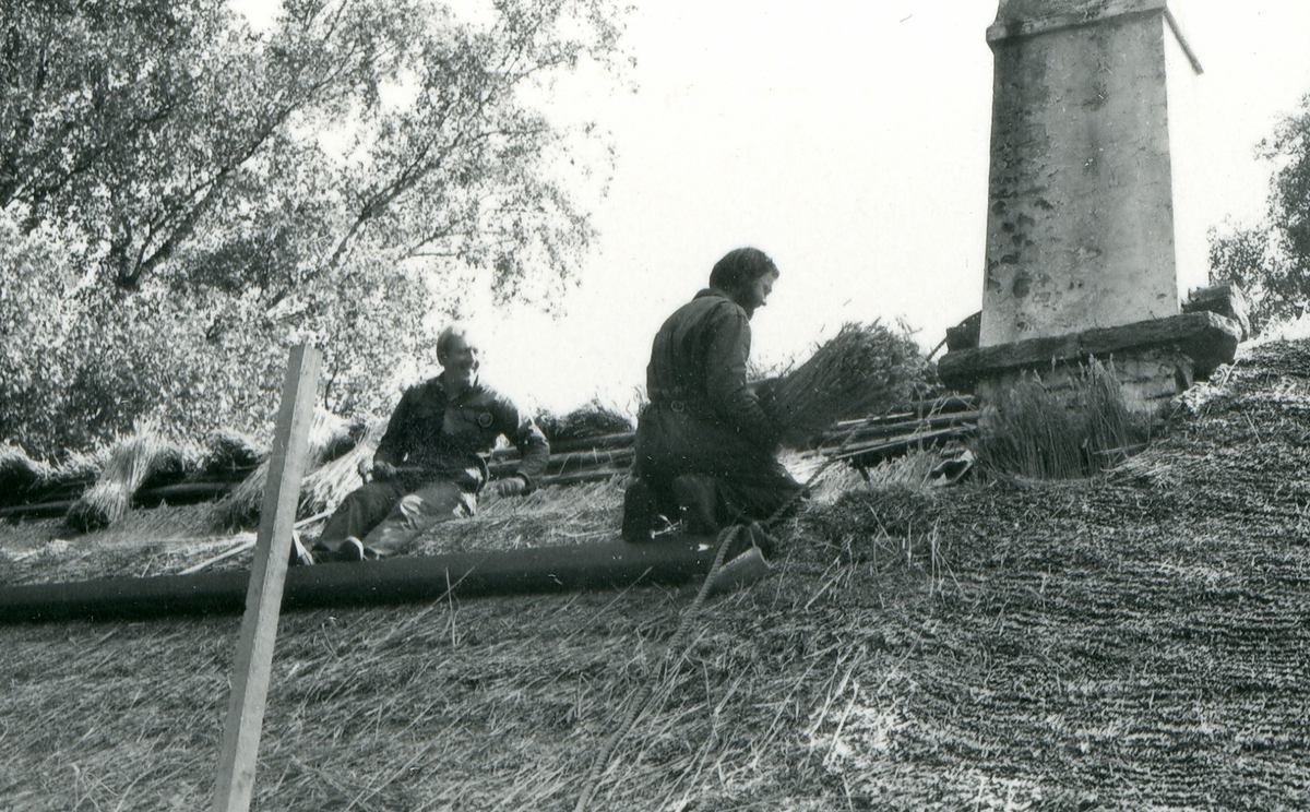 Halmtakläggning på manhusbyggnaden från Krafsagården i Olofstorp, Valinge i september 1980.