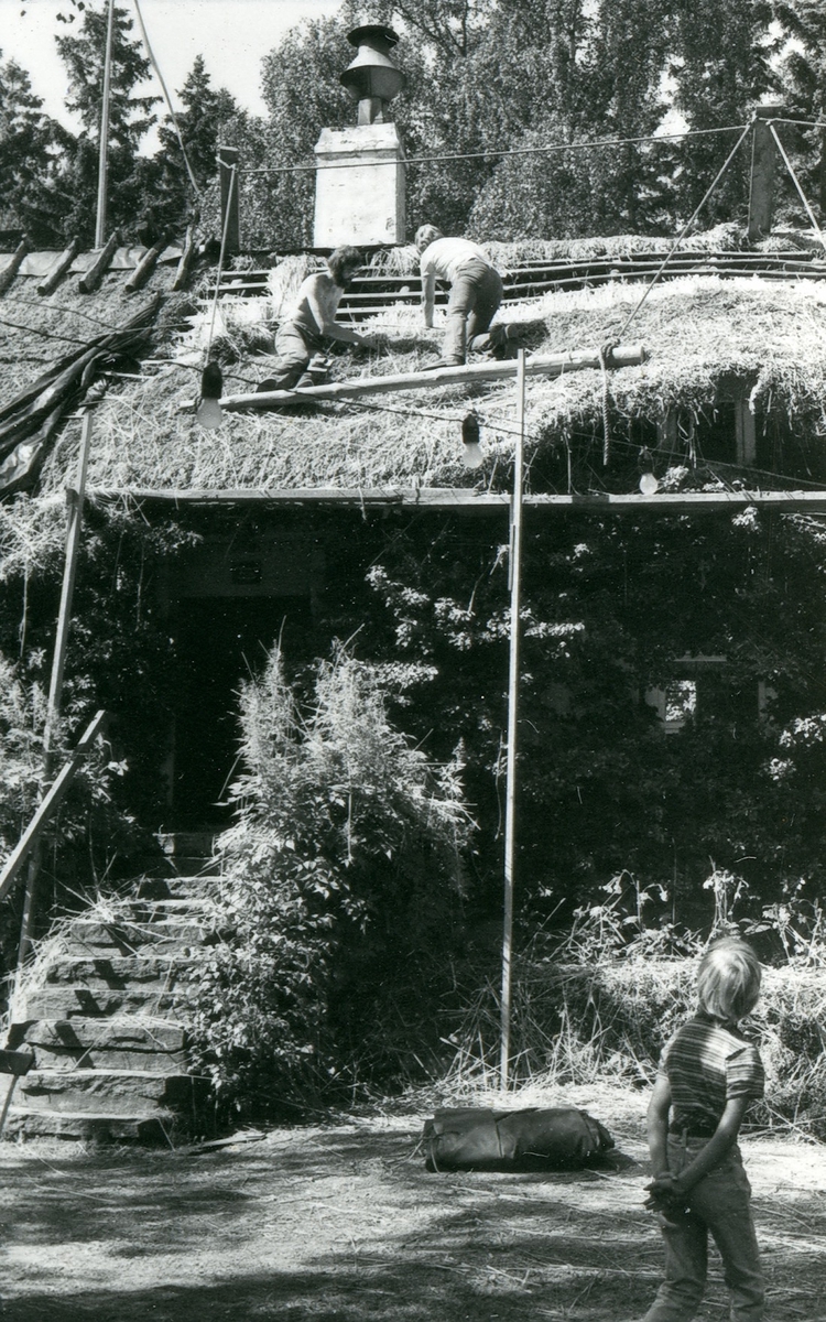 Halmtakläggning på manhusbyggnaden från Krafsagården i Olofstorp, Valinge i september 1980.