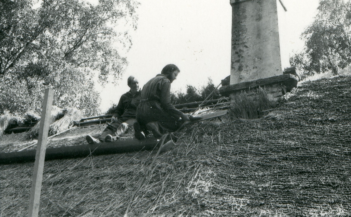 Halmtakläggning på manhusbyggnaden från Krafsagården i Olofstorp, Valinge i september 1980.