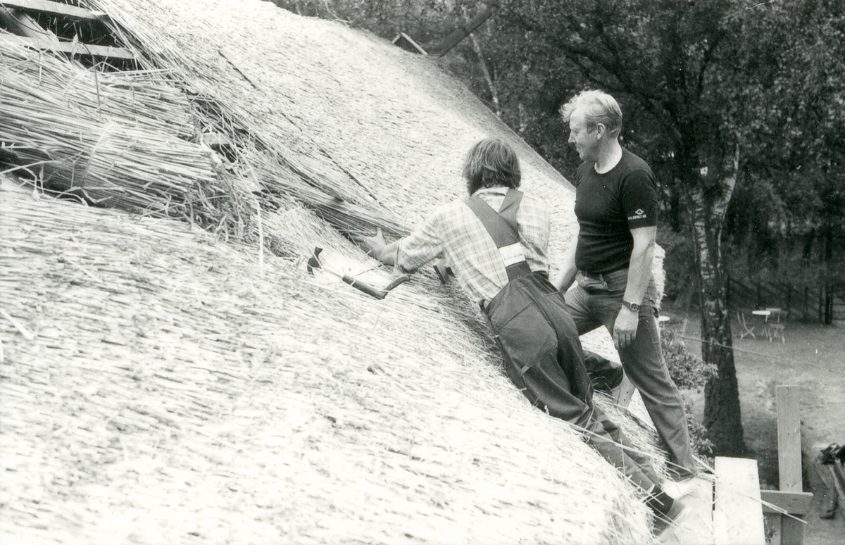 Halmtakläggning på manhusbyggnaden från Krafsagården i Olofstorp, Valinge i september 1980.