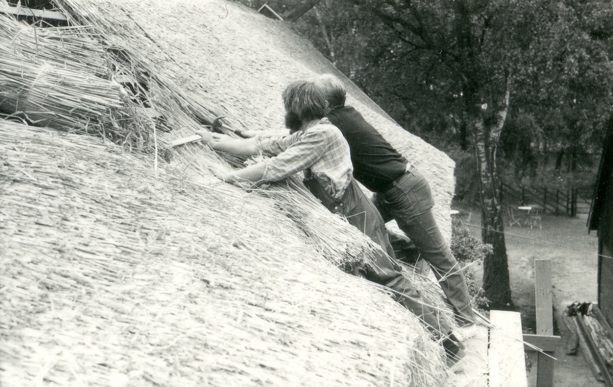 Halmtakläggning på manhusbyggnaden från Krafsagården i Olofstorp, Valinge i september 1980.