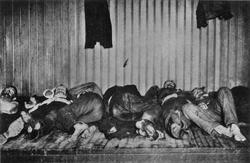 Husløse overnatter på Grønland politistasjon.