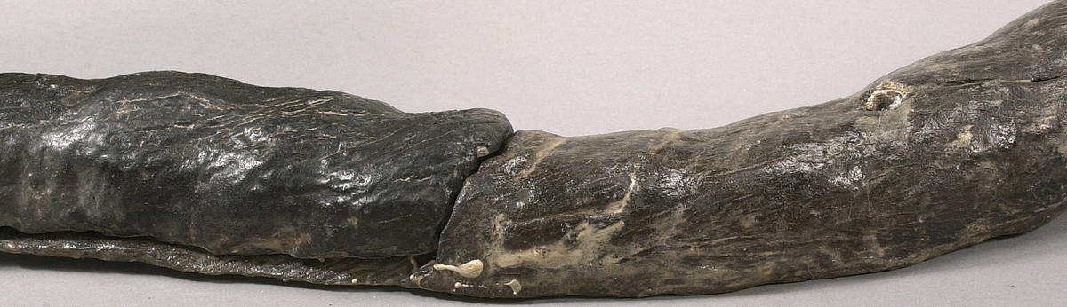 Skulpterad lejonsvans, lagad i rotändan. Svanstofsen är stor och yvig. Svansens baksida är slät.

Text in English: A sculpted lion''s tail, broken off where it was attached to the lion''s hind quarters. The tuft is large and bushy. The reverse side is smooth.
