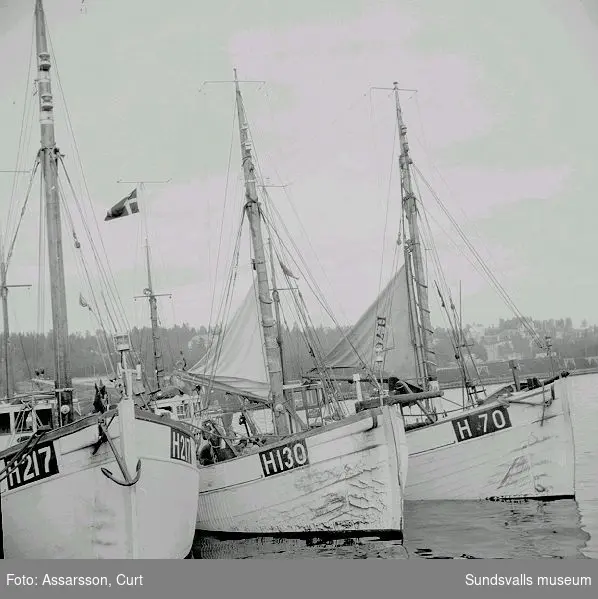 Bilder från hamnlivet, segelfartyg.