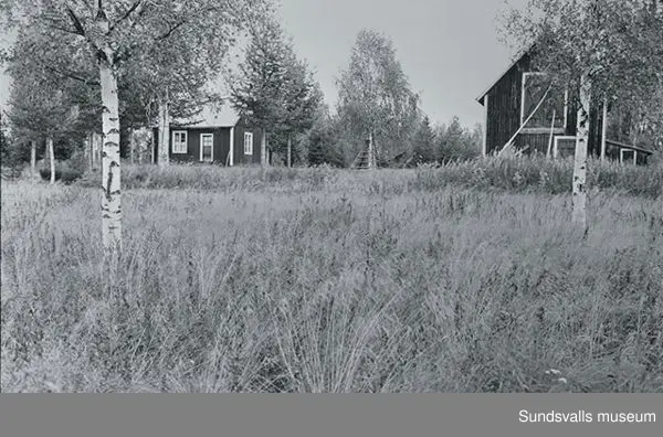 SuM-foto007480