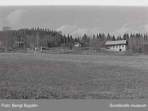 SuM-foto010730