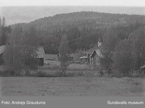 SuM-foto010763