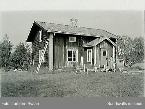 SuM-foto011780