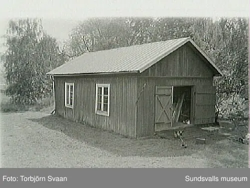 SuM-foto011780