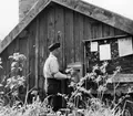 Cyklande lantbrevbärare Sven Eriksson, från Ljusterö, under brevbäringstur mellan V:a Lagnö till Lagnö Ö (c:a 7 km).  Fotot taget vid Östra Lagnö.