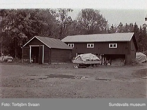 SuM-foto013651