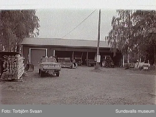 SuM-foto013651