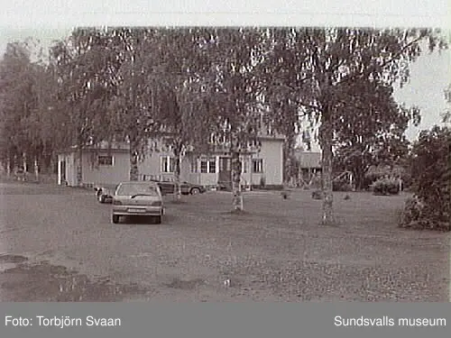 SuM-foto013651
