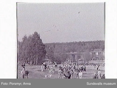 Drakfestival på Högom-gravfältet, i samarbetemed Sundsvall Tidning.