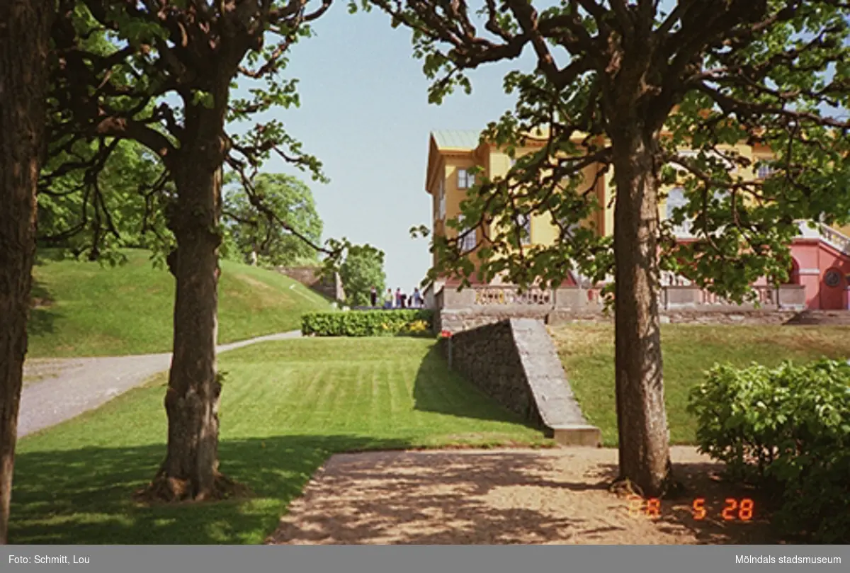 Man skymtar det gula Gunnebo slott bakom ett träd. I bild finns också en stenmur, grusgång och gräsmattor.