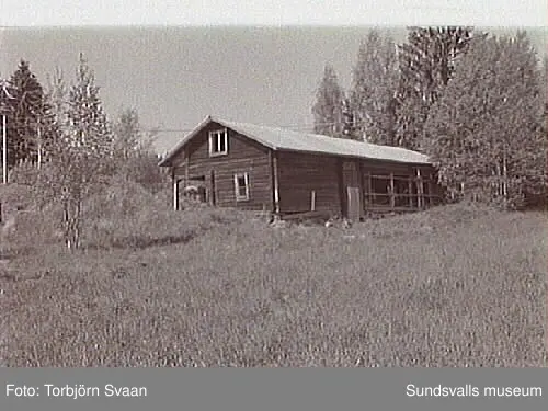 SuM-foto016420