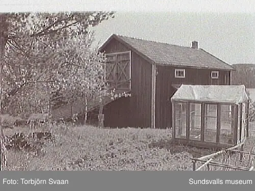 SuM-foto016420
