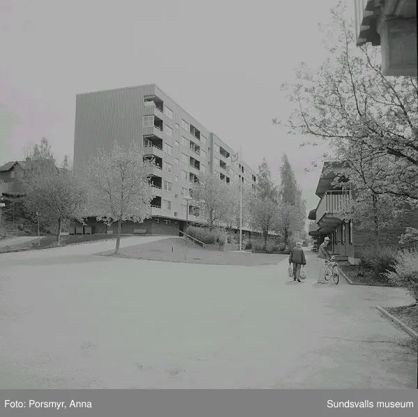 Mitthem AB:s hyreshusområde i Bergsåker, Ponnyvägen 1 - 19, Betselvägen 14 - 68:01 Tapetsering i lägenhet, Betselvägen 66 H02 Tapetsering i lägenhet, Betselvägen 66 H03 Ponnyvägen 13 - 104 Betselvägen 62 - 4805 Betselvägen 62 - 4806 Hyresgäst i området07 - 09 Selektiv rivning, Ponnyvägen 1 - 5; nedtagning av fasadplåt för återvinning. Entreprenör KM Schakt, Ludvika10 Vi sitter fast i en hiss på väg upp till Bergsåkers Dagcentral, Betselvägen 3411 Matsal, Bergsåkers Dagcentral12 Vy över Selånger från Bergsåkers Dagcentral