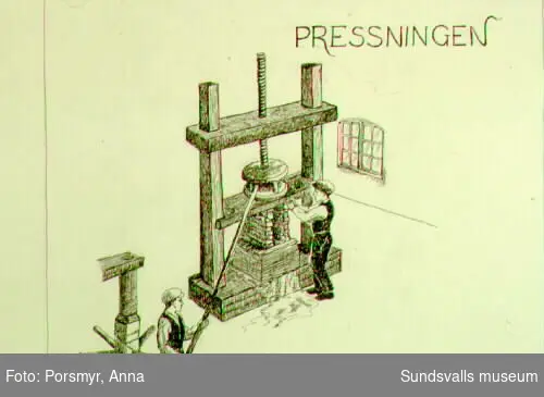Pressningen. Lärpojkarna ansvarar för pressningen. Med hävstång, som kopplas med en kedja till vinschen, dras pressen. Efter pressningen åtskiljs arken och filtarna. Arken bärs upp till torkloftet.Ur utställningen "Att tillverka papper av lump - om handpappersbruken i Norrland". Forskning: Ulrika Hådén, teckningar: Kjell-Åke Hermansson.
