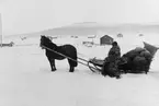 Landsvägspostiljon med häst i snölandskap