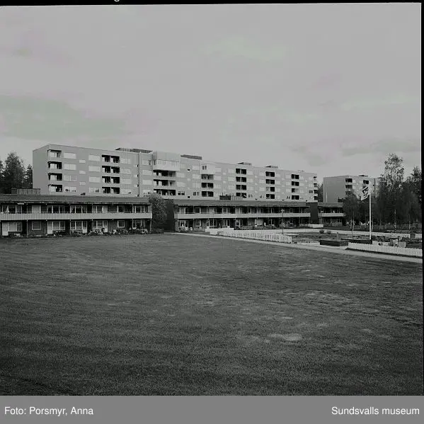 Mitthem AB:s hyreshusområde i Bergsåker, Ponnyvägen 1 - 19, Betselvägen 14 - 68:01 Bostadshusen mot norr, Betselvägen 14 - 6202 Betselvägen 28 - 4603 Betselvägen 14 - 28 med Gunghästens förskola i förgrunden04 Ponnyvägen 1 - 19 med pågående rivning av Ponnyvägen 1 - 505 - 09 Selektiv rivning av Ponnyvägen 1 - 510 Tvåvåningshusens sydsida, Ponnyvägen 19 A - H11 Gunnar Bergkvist t.v. (född i Bergsåker) och Olle Persson (född i Granlo) på den senares terrass, Ponnyvägen 19 G