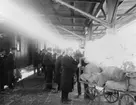 Avlastning av post från postboggievagn vid Stockholms
Centralstation, 1910.