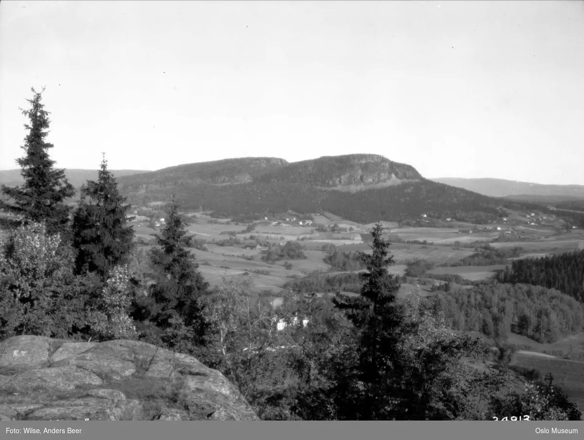 utsikt, skog, fjell, bebyggelse