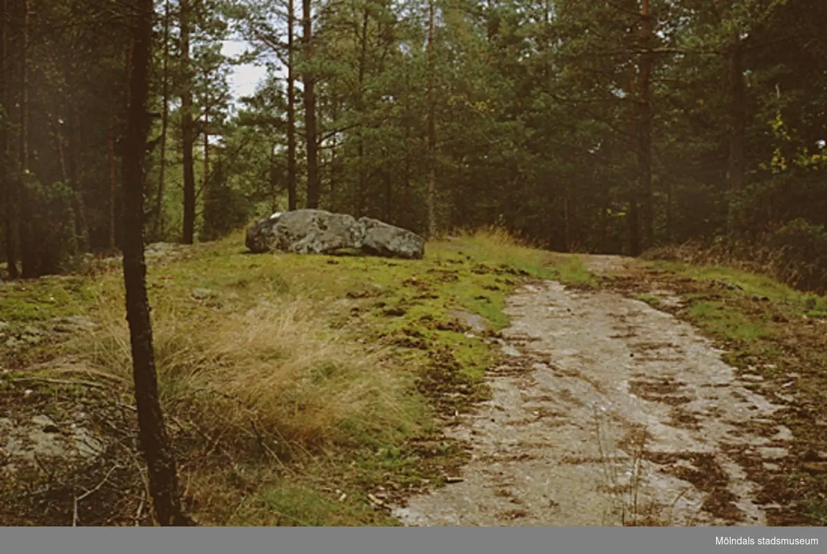 Sten på stig mot Djursjön, oktober 1993. Relaterade motiv: 2003_0410 - 0415.