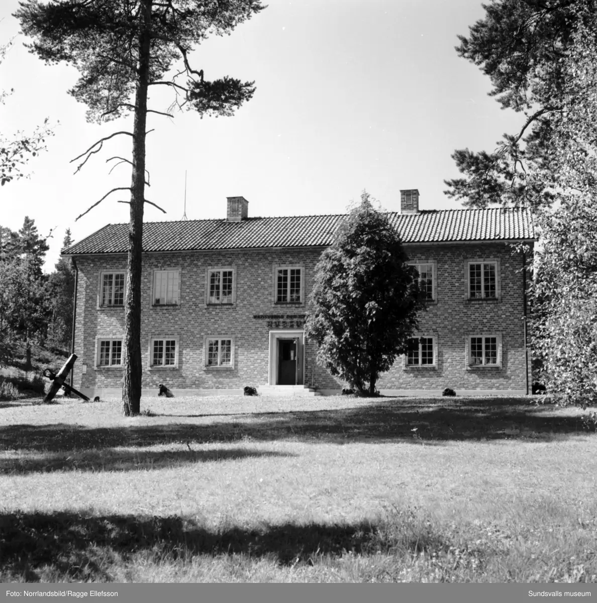 Skvadern på Norra berget. Fantasidjuret som blivit något av en symbol ...