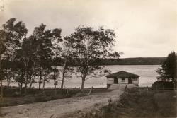 Tulebo