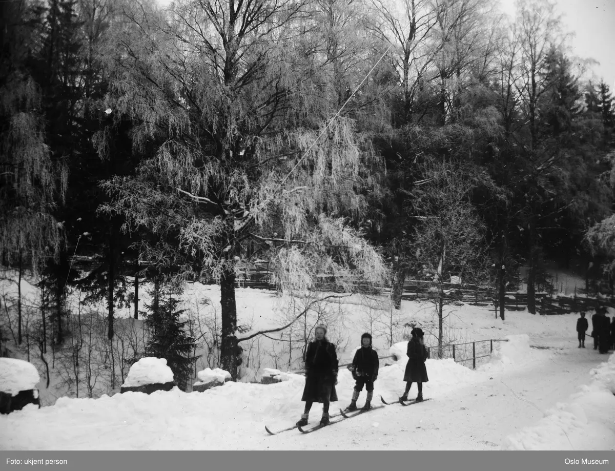 skog, snø, barn, skitur