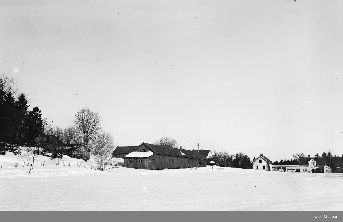 kulturlandskap, snø, gård, bolighus, uthus, låve