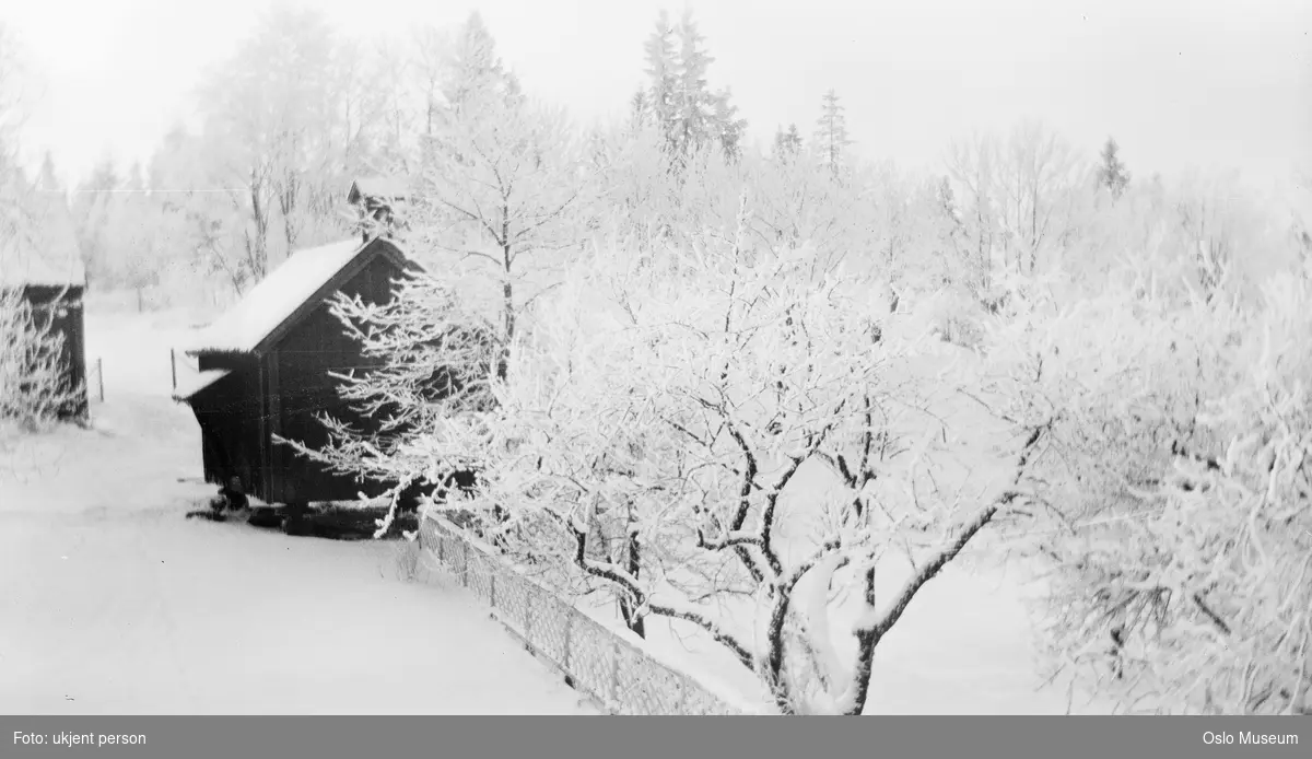 gård, hage, stabbur, snø