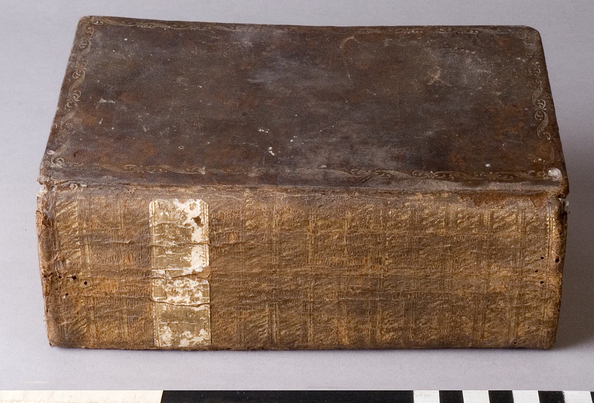 Bibel, inbunden med guldsnitt och pärmar av läder. Rygg och pärmar med präglad förgylld dekor i form av horisontella band samt med blomstergirlander.
Etikett av papper på ryggen med titeln "BIBEL" i förgyllt typsnitt. Etiketten är nött och sliten och därför något svårläslig.
Sprickor och insektsangrepp samt bortfall av förgyllningen på lädret.

Märkt: "Nord. mus." samt med "G. af banktjänstemannen E.G. Hedberg 21/7 1899"