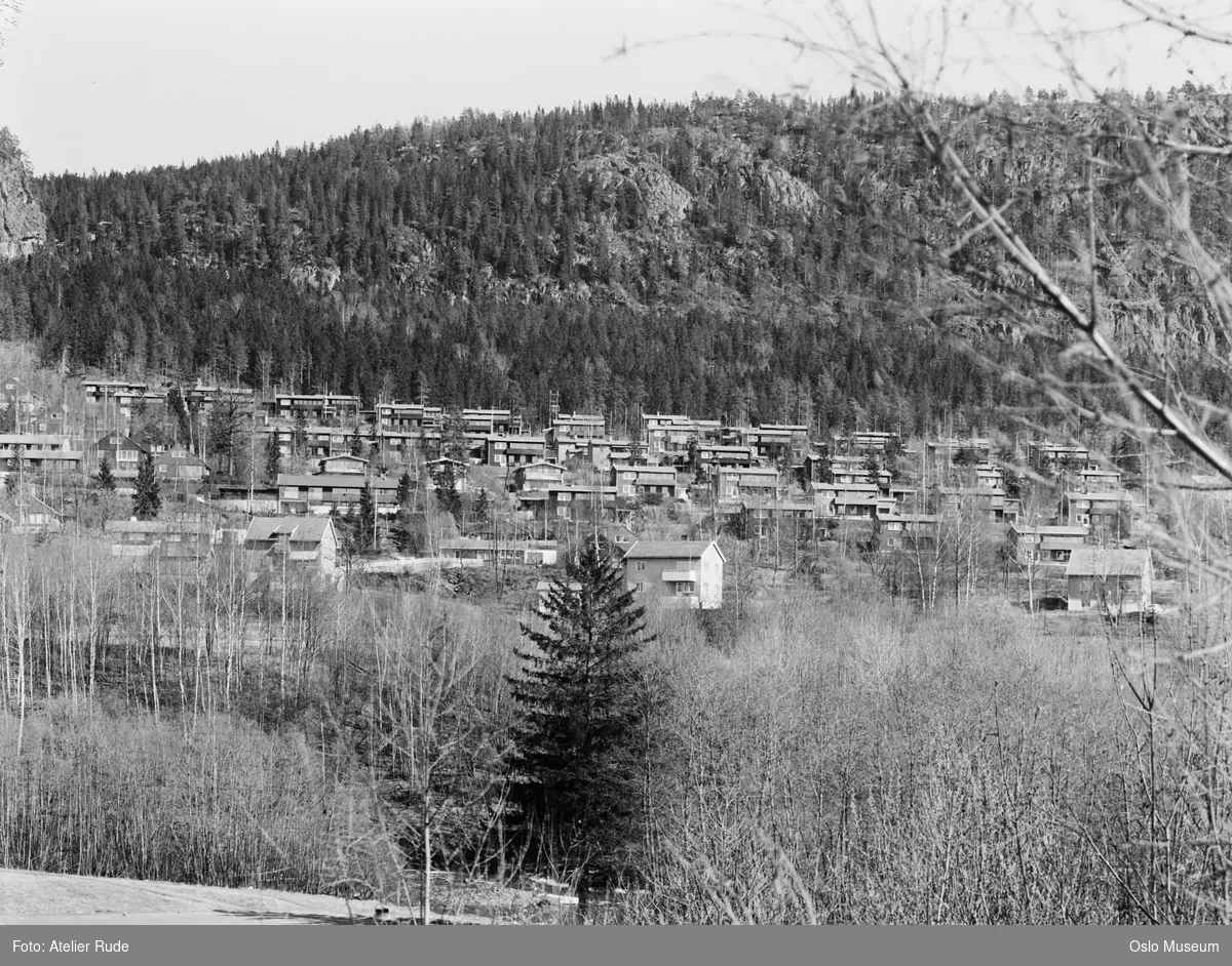 boligfelt, villabebyggelse, rekkehus, ås, skog