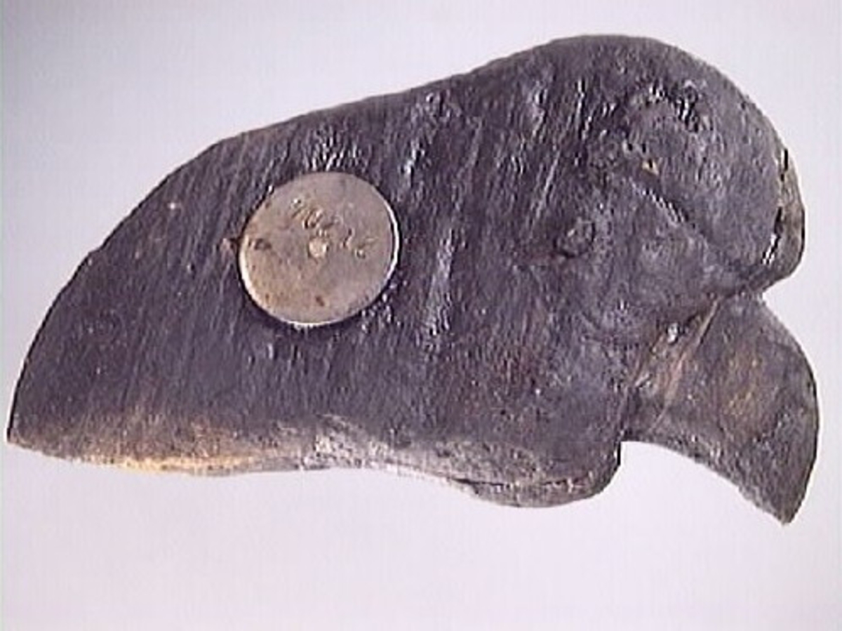 Skulpturdel till lejonfigur. En klo, tillverkad i tre delar och sammanfogade med 2-4 trädymlingar. Välbevarad.

Text in English: Part of a sculpture, a claw belonging to a lion figure. Carved in three pieces which are held together by 2-4 wooden pegs.
Well preserved.