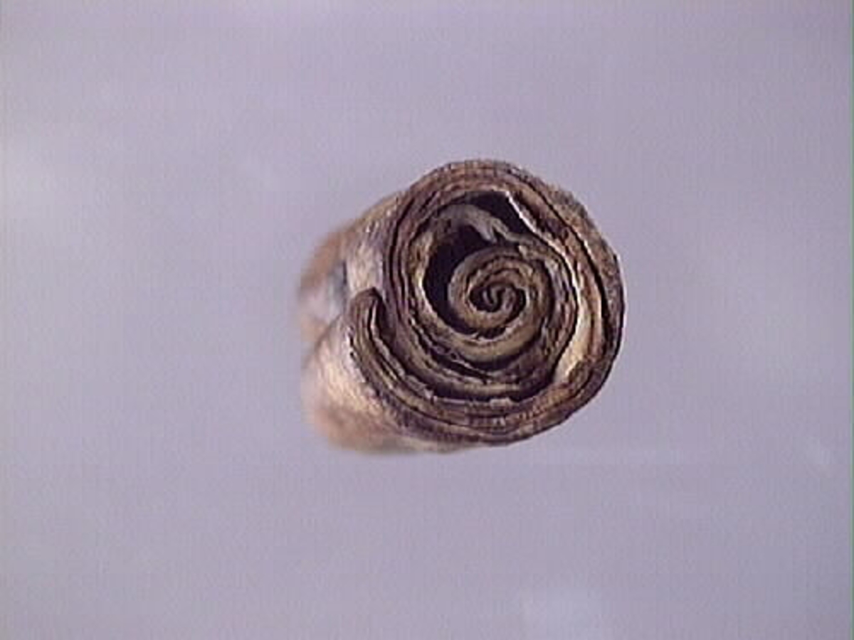 Ett flöte av näver.
Flötet består av en bit näver som har formen av en rulle. Flötet är välbevarat.