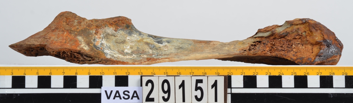 Nötben.
1 st. del av bäckenben (pelvis).
1 st. skenben (tibia).