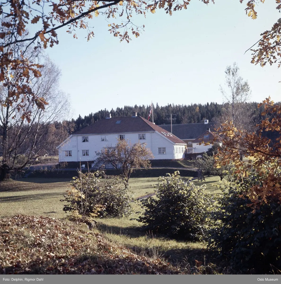 kulturlandskap, gård, bolighus, hage