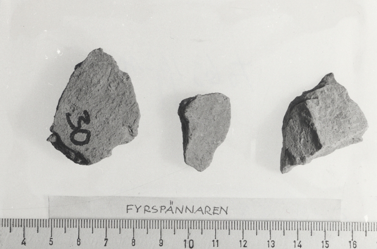 Kantfragment från kruka.