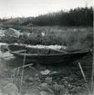 Sälbåt. Västerbotten, Lövånger tingslag och socken, Bjurö.