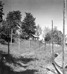 Uppland, Stockholms län, Frötuna skeppslag, Länna socken, Vettershaga. Skeppare Olssons gisthage och lillstuga. Foto i juni 1950.