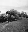 Uppland, Stockholms län, Frötuna skeppslag, Länna socken, Vettershaga. Skeppare Olssons källarstuga. Foto i juni 1950.