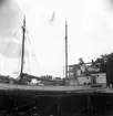 M/S Don Carlos från Säffle i dockan för reparation, akterskeppet, aug 1954.