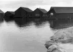 Sjöbodar i Norrboda hamn, okt 1954.