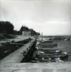 Sedd mot NV. Småbåtsbryggan. i bakgrunden Sjöfartsmuseet.  Foto N Nilsson juni 1962.
Skåne, Malmöhus län, Jonstorps socken, Svanshall.