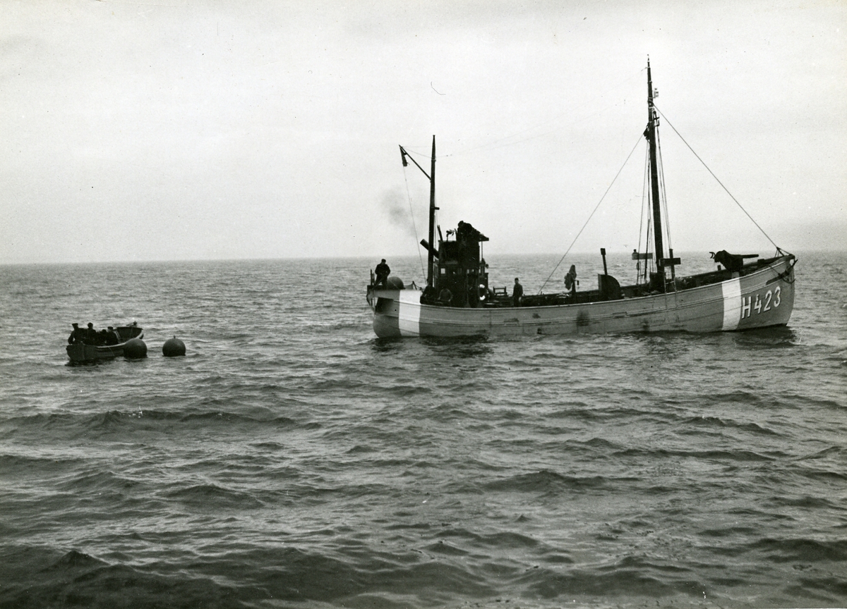 Hjälpvedettbåten H 423 (204), tidigare fiskebåten GG 286 BOHUSLÄN av Hönö. Desarmering av minor.