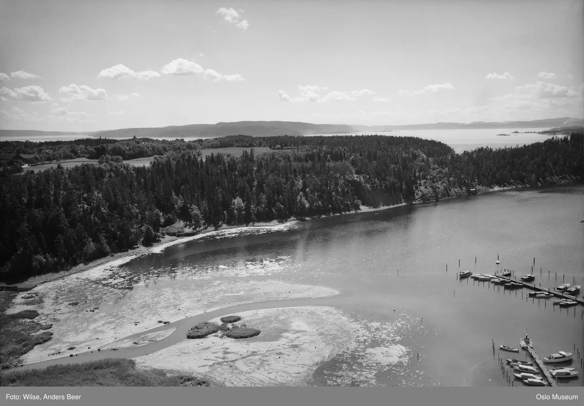 utsikt, fjord, småbåthavn, skog, gårder, jorder